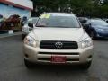 Savannah Metallic - RAV4 I4 Photo No. 2
