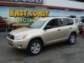 Savannah Metallic - RAV4 I4 Photo No. 3