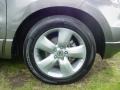 Nimbus Gray Metallic - MDX Technology Photo No. 11