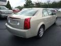 Gold Mist - CTS Sedan Photo No. 3
