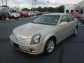 Gold Mist - CTS Sedan Photo No. 7