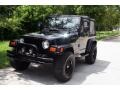 Black Clearcoat - Wrangler X 4x4 Photo No. 1