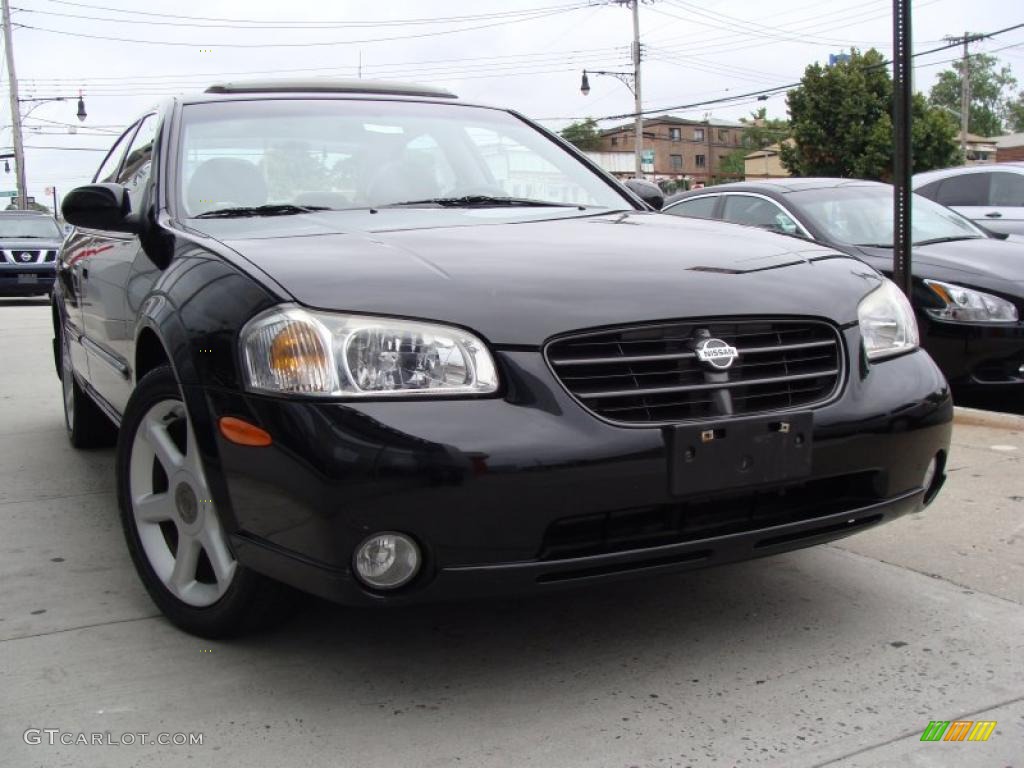 Super Black Nissan Maxima