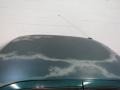 1996 Woodland Green Pearl Geo Prizm   photo #11