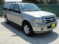 Vapor Silver Metallic 2009 Ford Expedition EL XLT