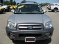 Pewter - Santa Fe GLS 4WD Photo No. 13
