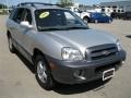 Pewter - Santa Fe GLS 4WD Photo No. 14
