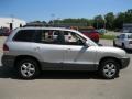 Pewter - Santa Fe GLS 4WD Photo No. 15