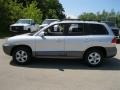 Pewter - Santa Fe GLS 4WD Photo No. 16