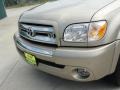 2005 Desert Sand Mica Toyota Tundra SR5 Access Cab  photo #12