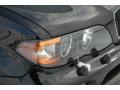 Black Sapphire Metallic - X5 3.0i Photo No. 11