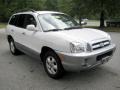 2006 Nordic White Hyundai Santa Fe GLS 3.5  photo #6