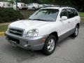 2006 Nordic White Hyundai Santa Fe GLS 3.5  photo #8