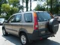 Mojave Mist Metallic - CR-V LX Photo No. 3