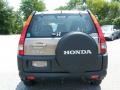 Mojave Mist Metallic - CR-V LX Photo No. 4