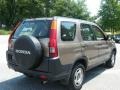 Mojave Mist Metallic - CR-V LX Photo No. 5