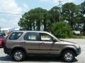 Mojave Mist Metallic - CR-V LX Photo No. 6