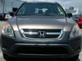 Mojave Mist Metallic - CR-V LX Photo No. 8