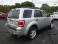 2010 Ingot Silver Metallic Ford Escape XLT V6 4WD  photo #3