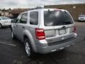 2010 Ingot Silver Metallic Ford Escape XLT V6 4WD  photo #5