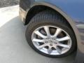 Carbon Gray Pearl - TSX Sedan Photo No. 16