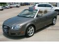 Alpaka Beige Metallic - A4 2.0T Cabriolet Photo No. 20