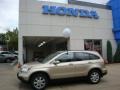 2008 Borrego Beige Metallic Honda CR-V EX-L 4WD  photo #1