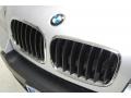 Titanium Silver Metallic - X5 3.0si Photo No. 14