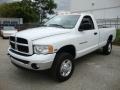 Bright White - Ram 2500 Laramie Regular Cab 4x4 Photo No. 2