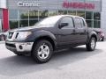 2010 Night Armor Metallic Nissan Frontier SE Crew Cab  photo #1