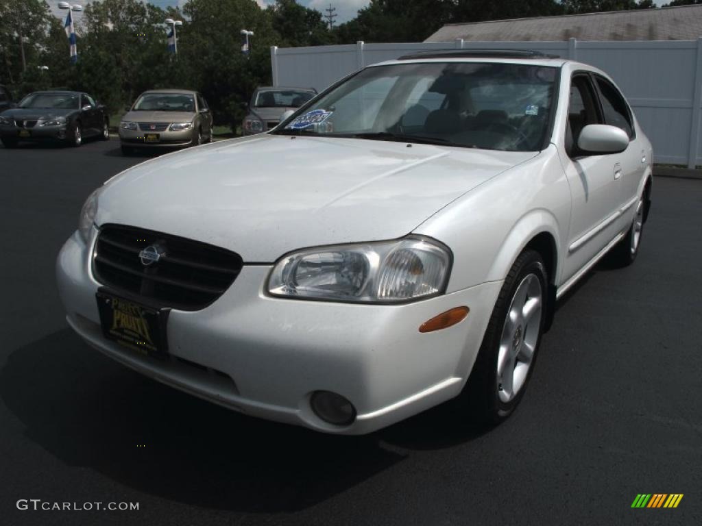 2001 Maxima SE - Icelandic White Pearl / Blond photo #3