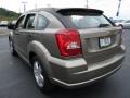 Light Khaki Metallic - Caliber SE Photo No. 2