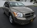 Light Khaki Metallic - Caliber SE Photo No. 5
