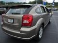 Light Khaki Metallic - Caliber SE Photo No. 7
