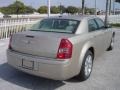 2009 Light Sandstone Metallic Chrysler 300 Limited  photo #6