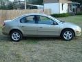 2002 Light Almond Pearl Metallic Dodge Neon SE  photo #14