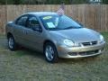 2002 Light Almond Pearl Metallic Dodge Neon SE  photo #15