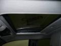 Bright Silver Metallic - Grand Caravan ES Photo No. 14