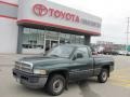 2001 Forest Green Pearl Dodge Ram 1500 ST Regular Cab  photo #1