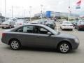 Willow Gray - Sonata GLS Photo No. 9