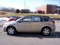 Light Sandstone Metallic - Caliber SXT Photo No. 9