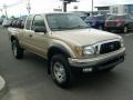 2004 Mystic Gold Metallic Toyota Tacoma Xtracab 4x4  photo #10