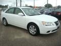 Powder White Pearl - Sonata GLS V6 Photo No. 7