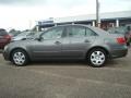Willow Gray - Sonata GLS V6 Photo No. 3