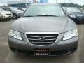 Willow Gray - Sonata GLS V6 Photo No. 8