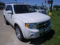 White Suede - Escape Limited V6 4WD Photo No. 1