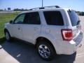 White Suede - Escape Limited V6 4WD Photo No. 7