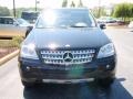 Black - ML 350 4Matic Photo No. 2