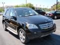 Black - ML 350 4Matic Photo No. 3