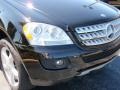 Black - ML 350 4Matic Photo No. 4